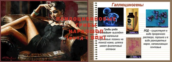 хмурый Волосово