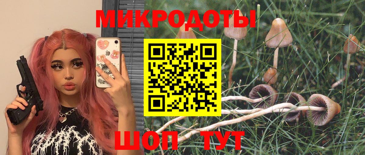 Можайск  Галлюциногенные грибы Cubensis  Вход с VPN 