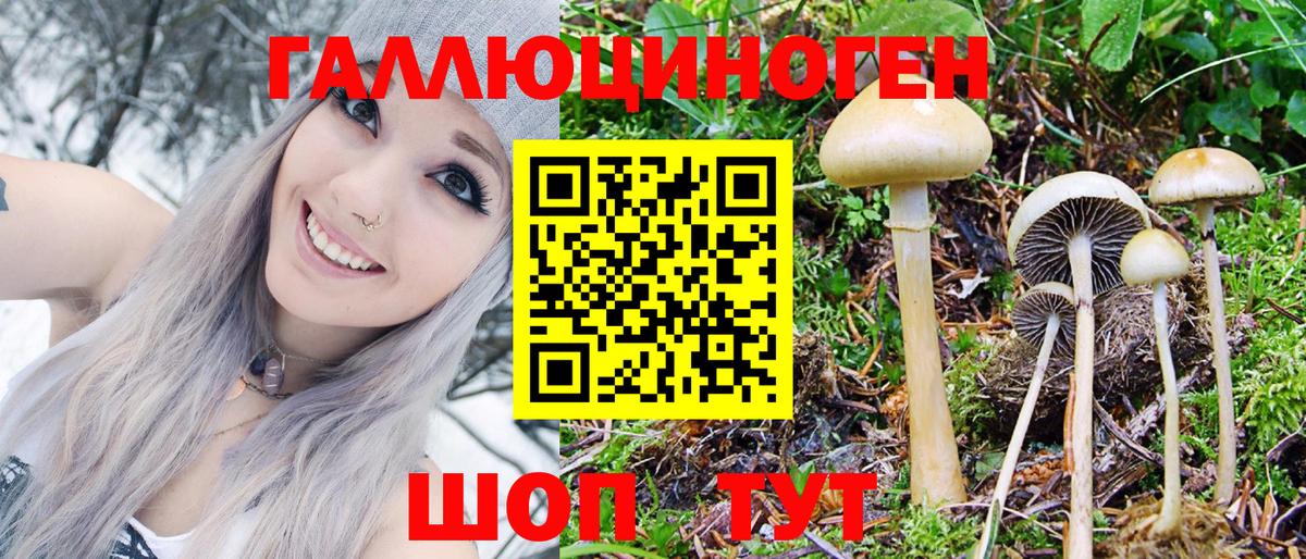 Галлюциногенные грибы Magic Shrooms  Галлюциногенные грибы Magic Shrooms  Можайск 